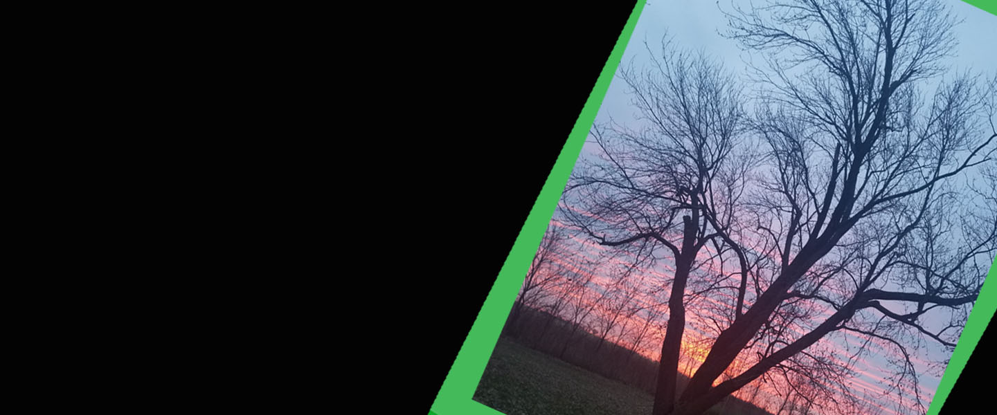 Nature Photos of CUSB