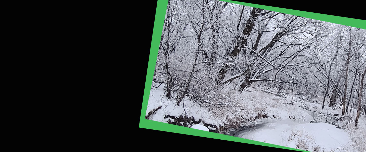 Nature Photos of CUSB